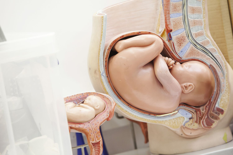 Nhận biết các giai đoạn chuyển dạ để giảm thiểu biến chứng